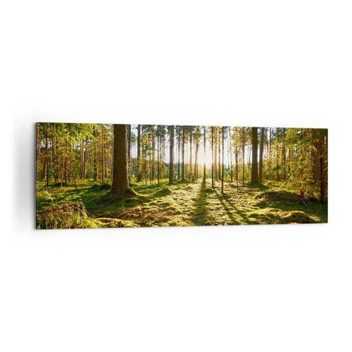 Schilderen op canvas - … Achter de zeven bossen - 160x50 cm