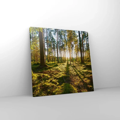 Schilderen op canvas - … Achter de zeven bossen - 40x40 cm