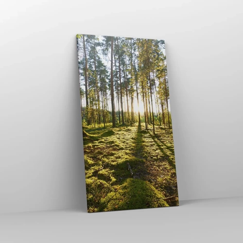 Schilderen op canvas - … Achter de zeven bossen - 45x80 cm