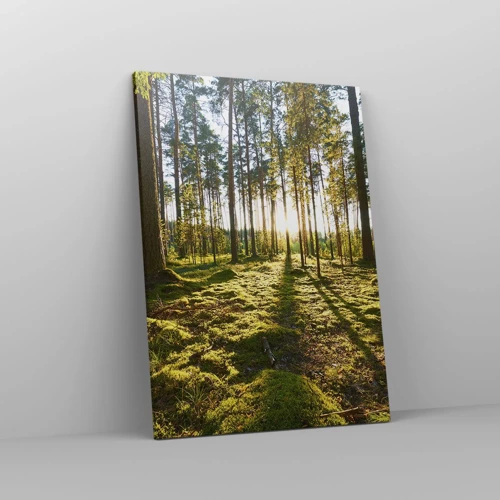 Schilderen op canvas - … Achter de zeven bossen - 50x70 cm