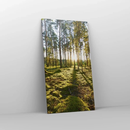 Schilderen op canvas - … Achter de zeven bossen - 55x100 cm