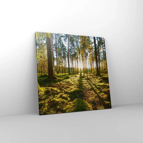 Schilderen op canvas - … Achter de zeven bossen - 60x60 cm