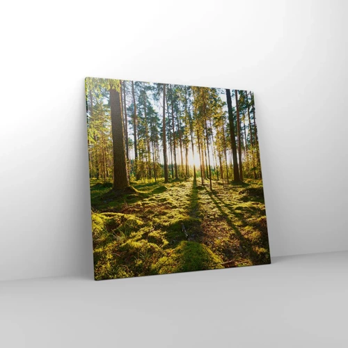 Schilderen op canvas - … Achter de zeven bossen - 70x70 cm