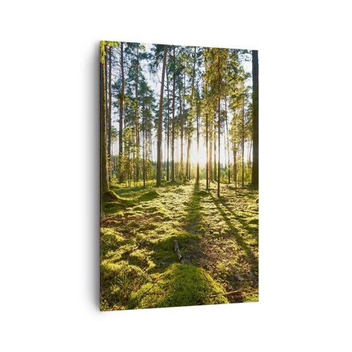 Schilderen op canvas - … Achter de zeven bossen - 80x120 cm