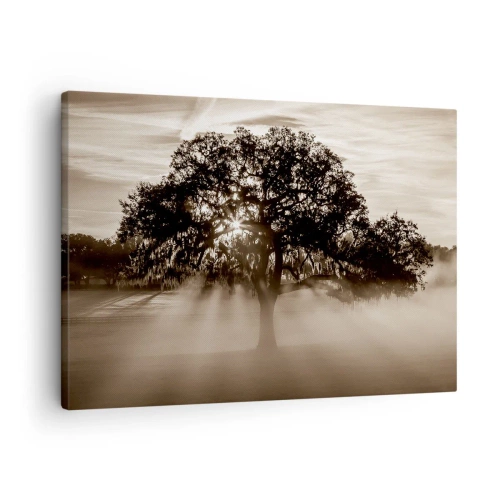 Schilderen op canvas Arttor 70x50 cm - Boom van goede kennis alleen - Landschap, Boom, Stralen Van De Zon, Sepia, Mist, Naar de woonkamer, Naar de slaapkamer, Groen, Bruin, Horizontaal, Canvas, AA70x50-3811
