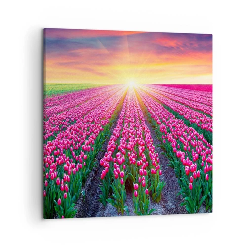 Schilderen op canvas - Beautyfarm - 50x50 cm