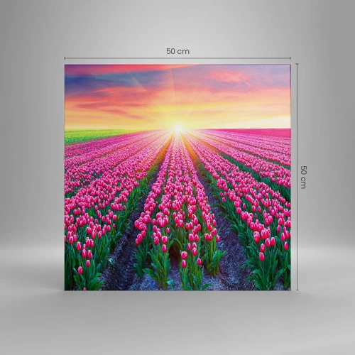 Schilderen op canvas - Beautyfarm - 50x50 cm