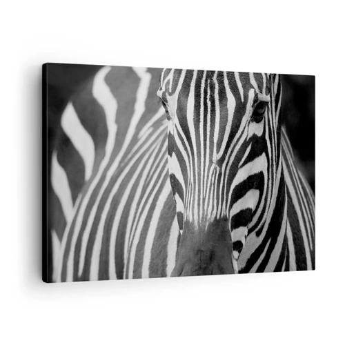 Schilderen op canvas - De wereld is zwart-wit - 70x50 cm