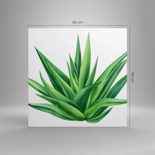 Schilderen op canvas - Groen – kracht – leven - 60x60 cm