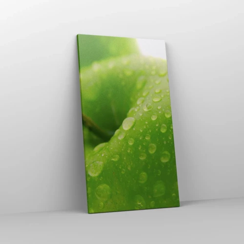 Schilderen op canvas - Groene koele frisheid - 45x80 cm