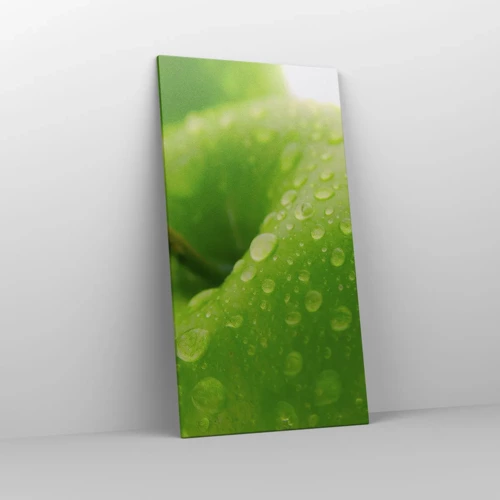 Schilderen op canvas - Groene koele frisheid - 65x120 cm