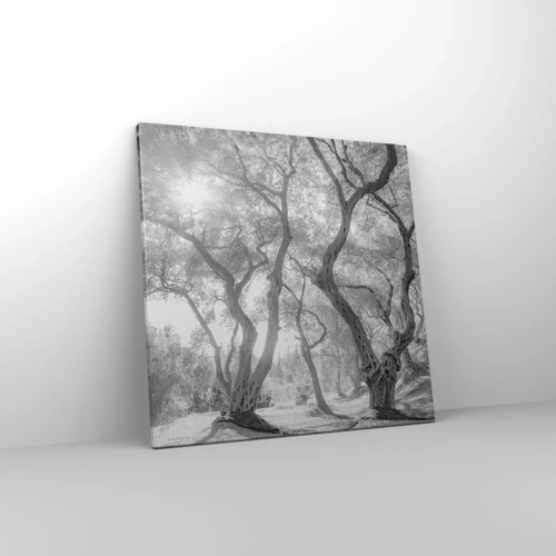 Schilderen op canvas - In de olijfboomgaard - 50x50 cm