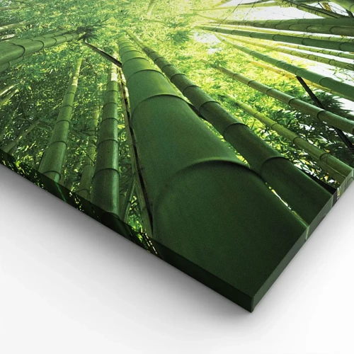 Schilderen op canvas - In een bamboebos - 100x40 cm