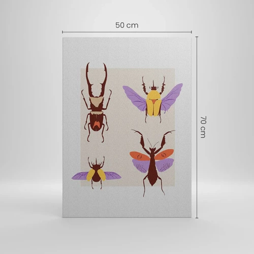 Schilderen op canvas - Insectenwereld - 50x70 cm