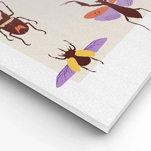 Schilderen op canvas - Insectenwereld - 50x70 cm
