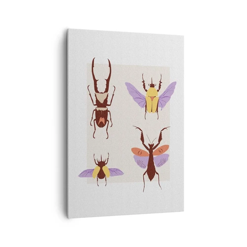 Schilderen op canvas - Insectenwereld - 70x100 cm