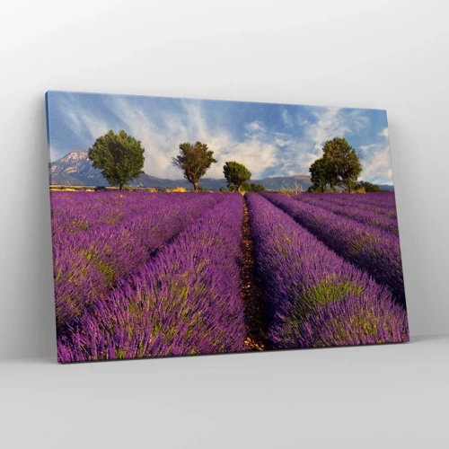 Schilderen op canvas - Lavendel velden - 120x80 cm