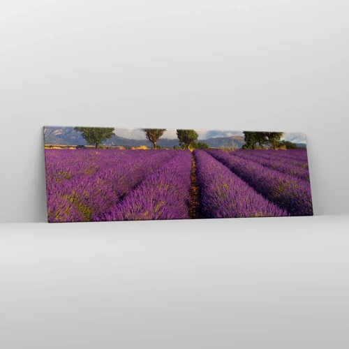 Schilderen op canvas - Lavendel velden - 160x50 cm