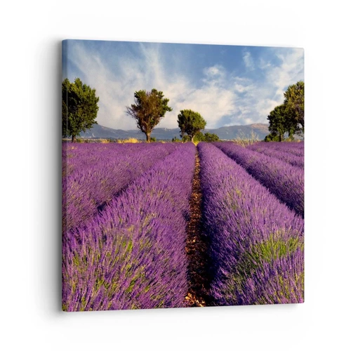 Schilderen op canvas - Lavendel velden - 30x30 cm