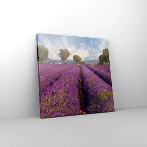 Schilderen op canvas - Lavendel velden - 30x30 cm