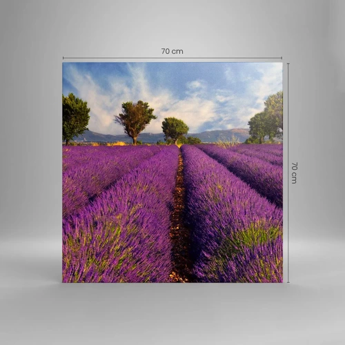 Schilderen op canvas - Lavendel velden - 70x70 cm