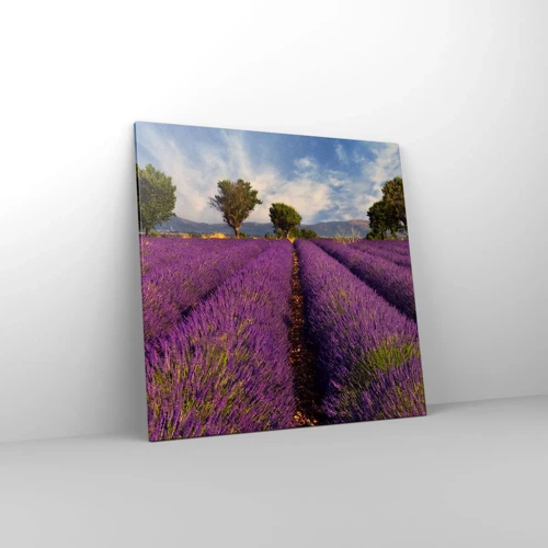 Schilderen op canvas - Lavendel velden - 70x70 cm