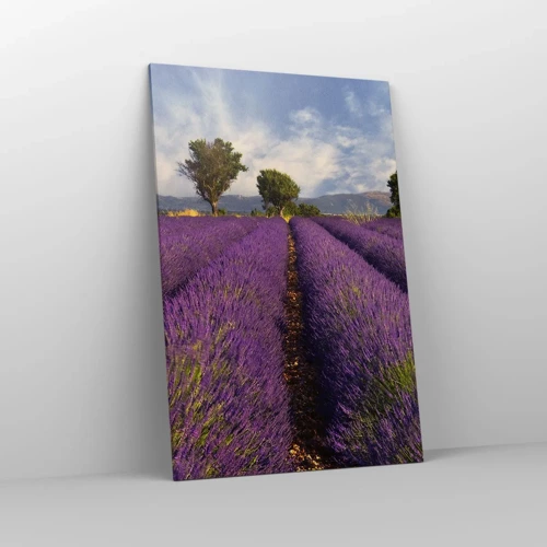 Schilderen op canvas - Lavendel velden - 80x120 cm