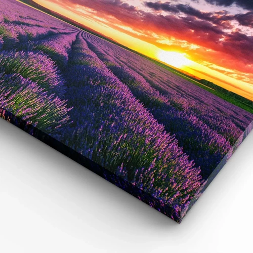 Schilderen op canvas - Lavendel wereld - 100x40 cm