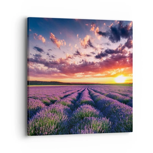 Schilderen op canvas - Lavendel wereld - 40x40 cm