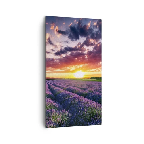 Schilderen op canvas - Lavendel wereld - 45x80 cm
