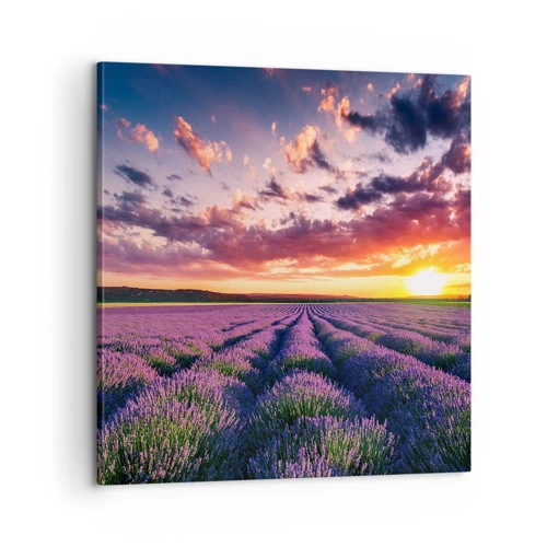 Schilderen op canvas - Lavendel wereld - 60x60 cm