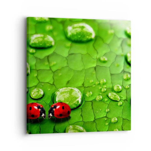 Schilderen op canvas - Ontmoeting in het groen - 30x30 cm