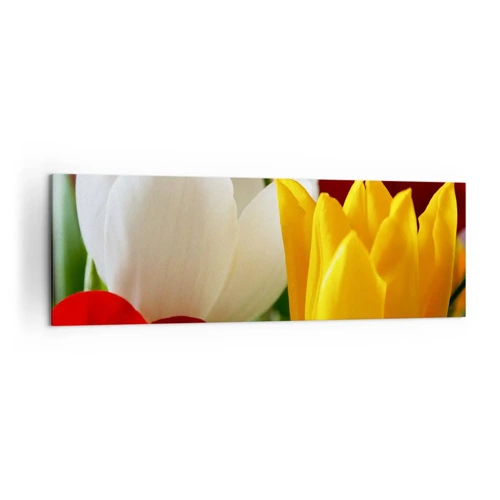 Schilderen op canvas - Tulpenkoorts - 160x50 cm