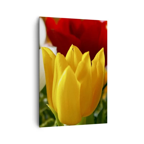 Schilderen op canvas - Tulpenkoorts - 70x100 cm