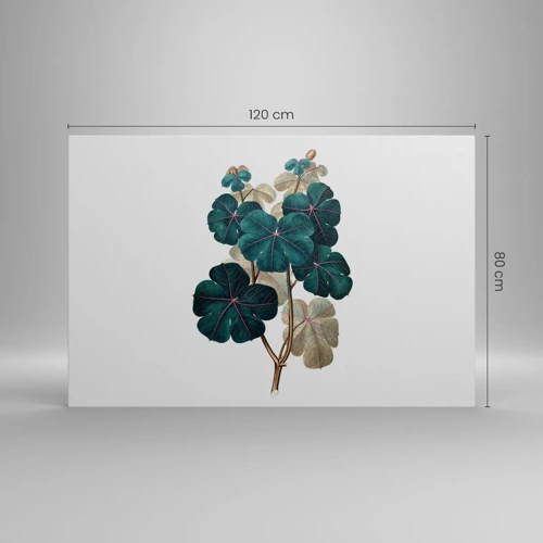 Schilderen op canvas - Uit het oude herbarium - 120x80 cm