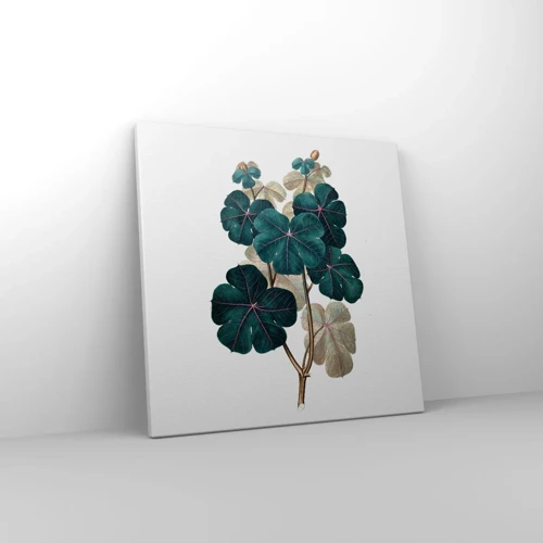 Schilderen op canvas - Uit het oude herbarium - 40x40 cm