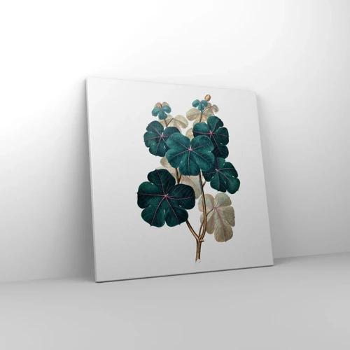 Schilderen op canvas - Uit het oude herbarium - 50x50 cm