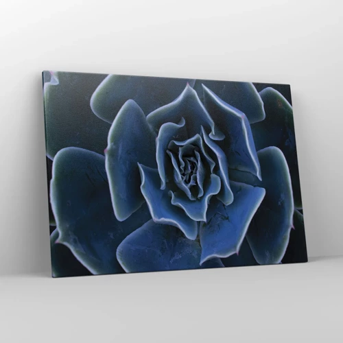 Schilderen op canvas - Woestijn bloem - 100x70 cm