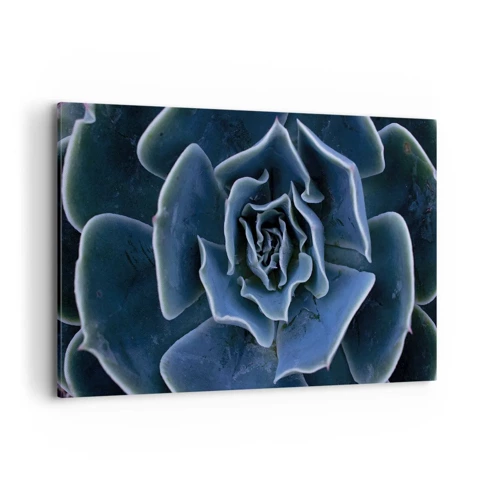 Schilderen op canvas - Woestijn bloem - 120x80 cm