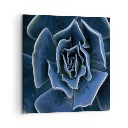 Schilderen op canvas - Woestijn bloem - 50x50 cm
