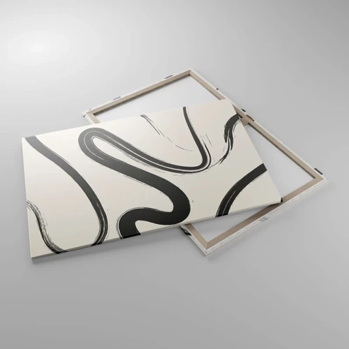 Schilderen op canvas - Zwart-wit eigenzinnigheid - 100x70 cm