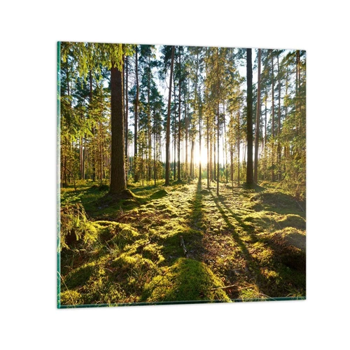 Schilderen op glas - … Achter de zeven bossen - 50x50 cm