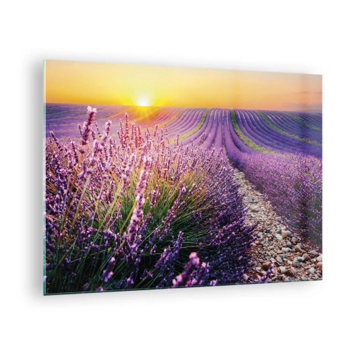 Schilderen op glas Arttor 70x50 cm - Geurige korenvelden - Landschap, Lavendel Veld, Provence, Frankrijk, Natuur, Naar de woonkamer, Naar de slaapkamer, Bruin, Paars, Horizontaal, Glas, GAA70x50-4703