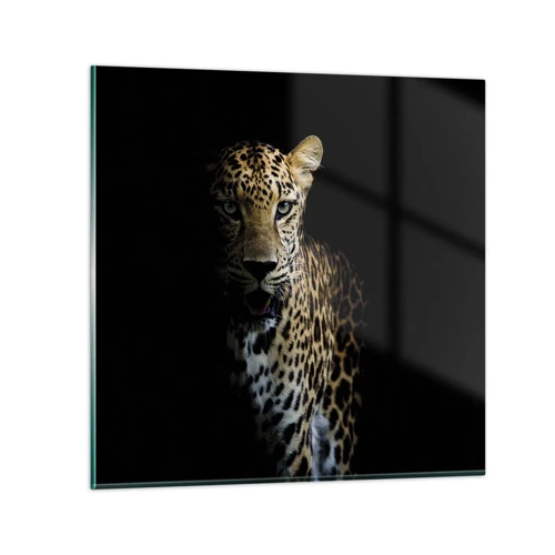 Schilderen op glas - Donkere schoonheid - 50x50 cm