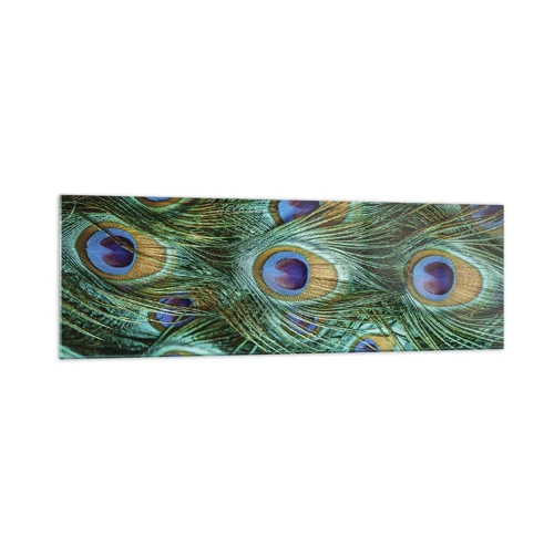 Schilderen op glas - Een pauwenooglook - 160x50 cm