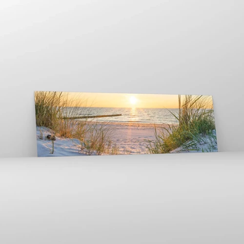 Schilderen op glas - Het geluid van de zee, het zingen van vogels, een wild strand tussen het gras... - 160x50 cm