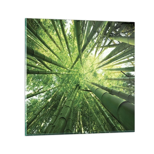Schilderen op glas - In een bamboebos - 50x50 cm