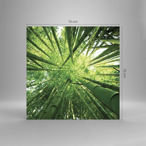 Schilderen op glas - In een bamboebos - 70x70 cm