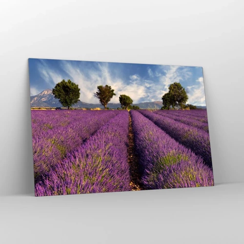 Schilderen op glas - Lavendel velden - 120x80 cm