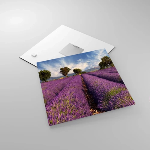 Schilderen op glas - Lavendel velden - 30x30 cm